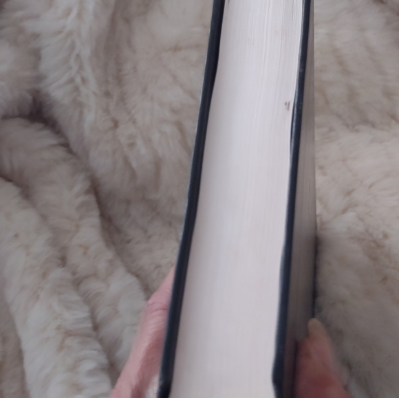 Apollyon hardcover book by Tim LaHaye and Jerry B. Jenkins - Picture 6 of 12